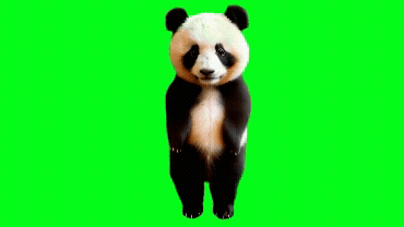 Brand Film loop: Elegance, But Louder